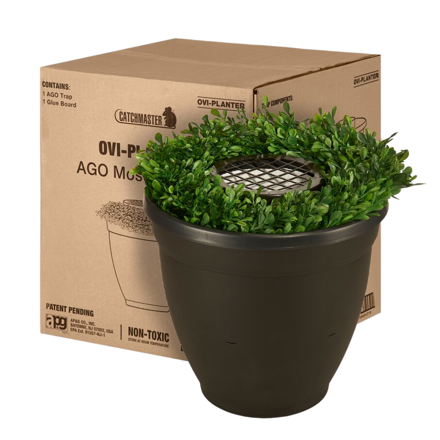 Catchmaster Ovi Planter AGO Mosquito Trap